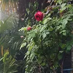 Casa Grillino
