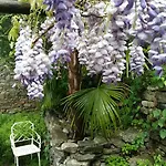 Apartment Casa Grillino Locarno