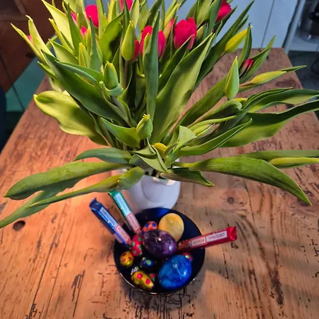 Casa Grillino Apartman