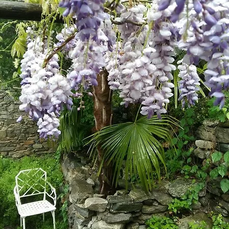 Apartment Casa Grillino Locarno