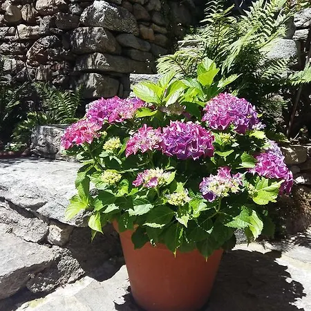 Apartment Casa Grillino Locarno