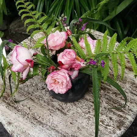 Daire Casa Grillino Locarno