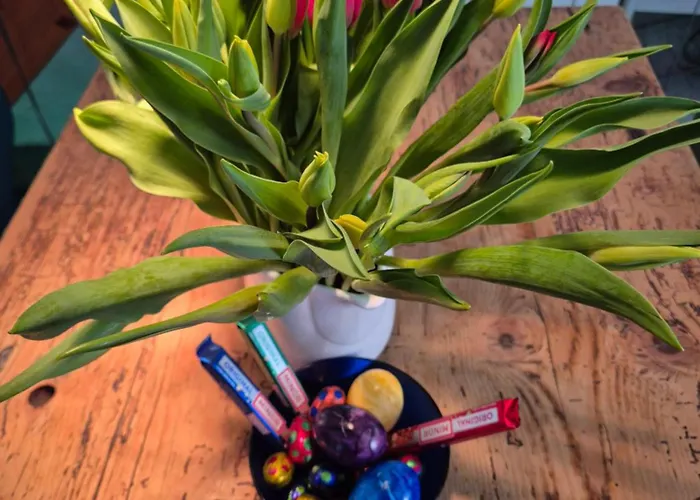 Casa Grillino Apartamento