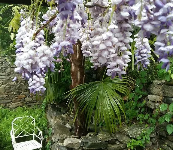 Lägenhet Casa Grillino Locarno