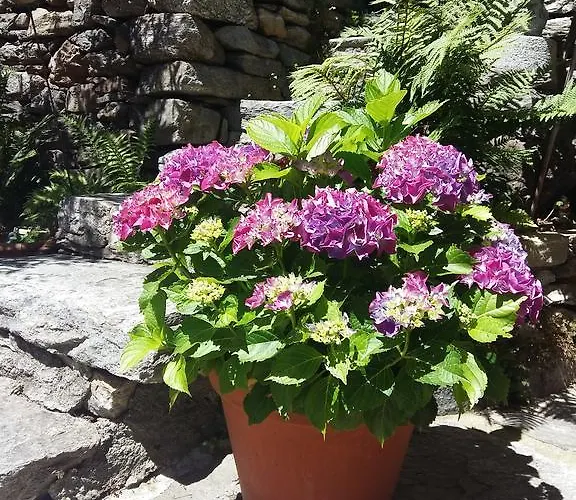 Daire Casa Grillino Locarno