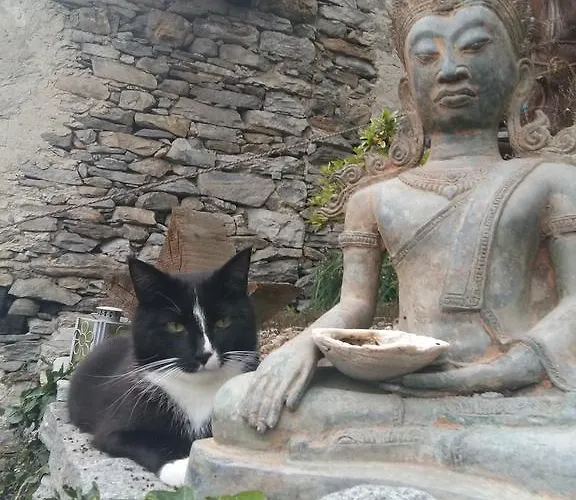 公寓 格里利诺之家公寓