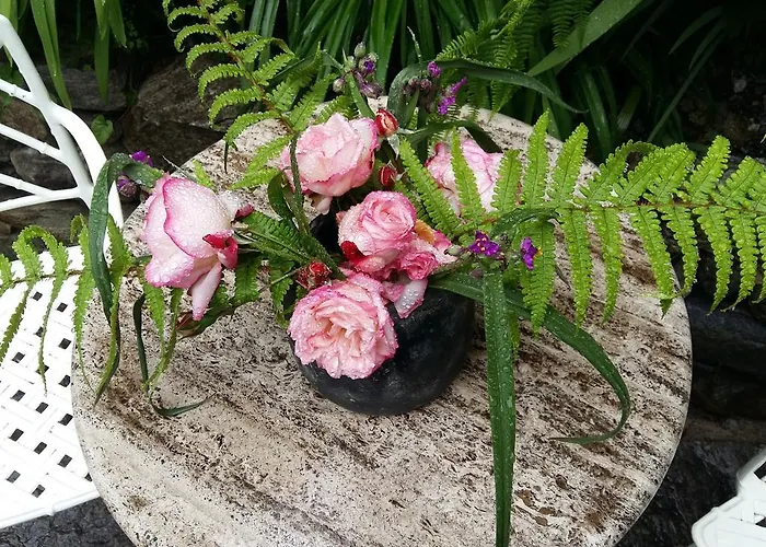 Lägenhet Casa Grillino Locarno